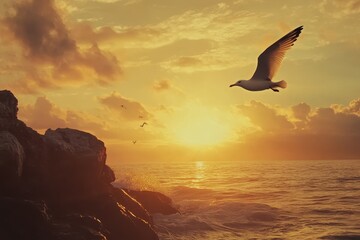 Fototapeta premium Seagull gliding gracefully through the sky at sunset near the ocean, slow motion seagull flying across the sky