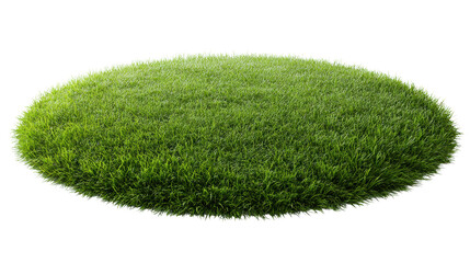 Green grass patch with vibrant blades, isolated on a white background.