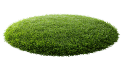 Green grass patch with vibrant blades, isolated on a white background.