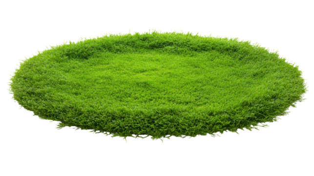 Lush green grass in an oval shape, isolated on a white background.