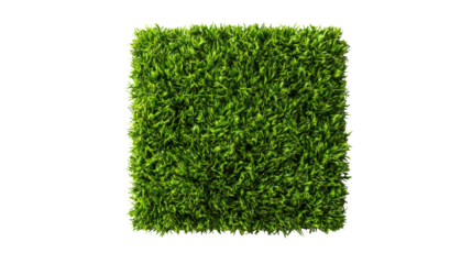 Vibrant green artificial grass patch, perfect for landscaping or decoration, white isolate background.