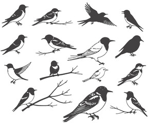 Collection of Bird Silhouettes in Various Poses Perched on Branches and Flying
