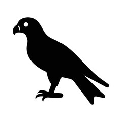 Silhouette of a majestic hawk standing tall against a white backdrop