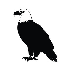 A black and white image of an eagle, showcasing its powerful silhouette