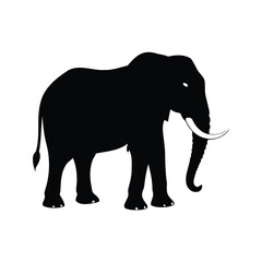 Majestic African Elephant Silhouette Standing Proudly on a White Background