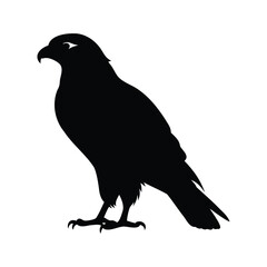 Majestic falcon silhouette against a clean white background creating a minimalist image