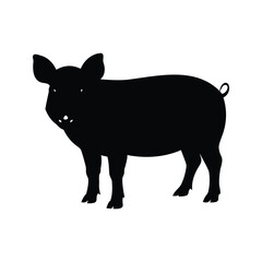 Fototapeta premium Silhouette of a domestic pig standing on a white background isolated
