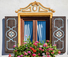Bright sunny day with potted plants by the window in a cozy room surrounded by nature in the...