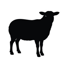 Silhouette of a black sheep standing isolated on a white background