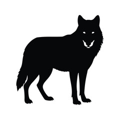Silhouette of a wolf standing facing forward, strong and elegant animal