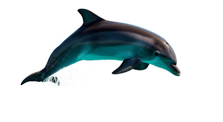 A dolphin gracefully jumps out of the ocean, capturing the essence of marine life.