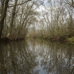Golden reeds sway gently by a tranquil lake reflecting autumn foliage and soft sky. A peaceful nature scene evoking calm, reflection, and the quiet beauty of seasonal change.