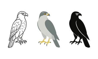 Obraz premium Three stylized falcon designs in black and white, gray, and silhouette variations