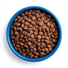 Pet food in a blue bowl