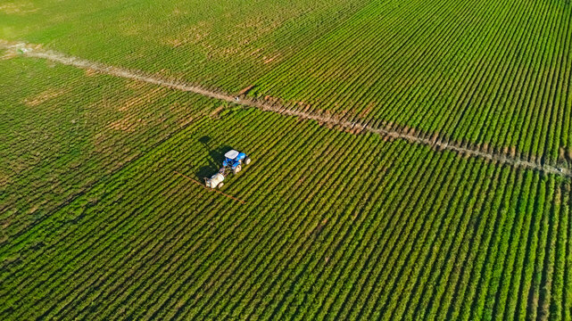Tractor fumigating a cultivated field. Aerial view.