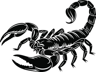Scorpion with Raised tail  Defensive Scorpion Ink Style Artwork scorpion isolated on white background