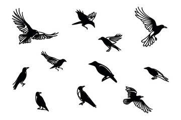 Obraz premium Crow black silhouettes set. bird silhouettes