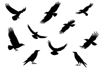 Obraz premium Crow black silhouettes set. bird silhouettes