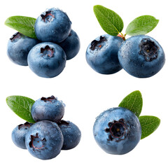Fototapeta premium Four sets of fresh blueberries with green leaves on a clean surface. The berries appear juicy and ripe