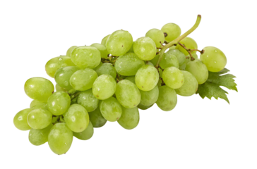 Fresh green grapes cluster on white background with vine leaves and water droplets visible clearly