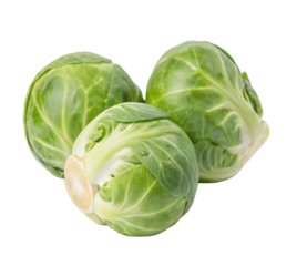 Fresh green brussels sprouts on a white surface isolated with clean and crisp appearance displayed