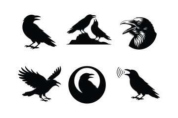 Obraz premium Black raven silhouettes in various poses and styles crow bird
