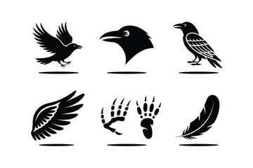 Obraz premium Black silhouettes of a flying crow a birds head claws and feather raven