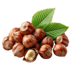 Harvesting hazelnuts nut collection nature still life isolated on transparent background