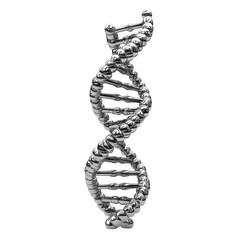 Exploring dna structure in science laboratory model educational concept isolated on transparent background