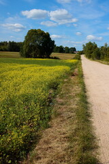 Poleskie krajobrazy pól, łąk i lasów