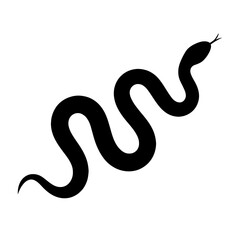 Fototapeta premium Design a black silhouette of a Arizona Coral Snake white background clean vector shape