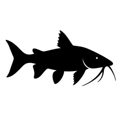 Obraz premium Design a black silhouette of a Armored Catfish white background clean vector shape