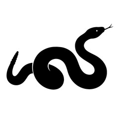 Fototapeta premium Design a black silhouette of a Aruba Rattlesnake white background clean vector shape