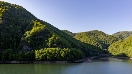 Lakeside view of Tarnita Lake with bridge and surrounding forest in Romania