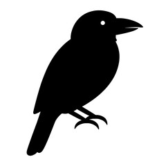 Obraz premium Design a black silhouette of a Barbet white background clean vector shape