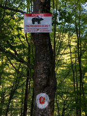 Trail with red dot trail sign and bear warning sign in Romanian forest