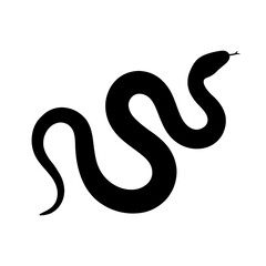 Fototapeta premium Design a black silhouette of a Beauty rat snake white background clean vector shape