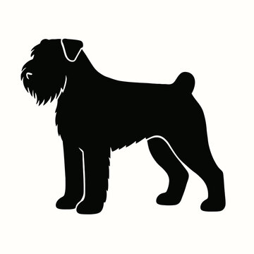Design a black silhouette of a Bouvier Des Flandres white background clean vector shape