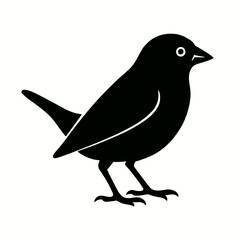 Design a black silhouette of a Brown Headed Cowbird white background clean vector shape