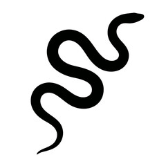 Obraz premium Design a black silhouette of a Brown Tree Snake white background clean vector shape