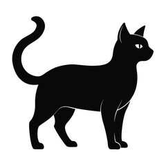 black cat silhouette