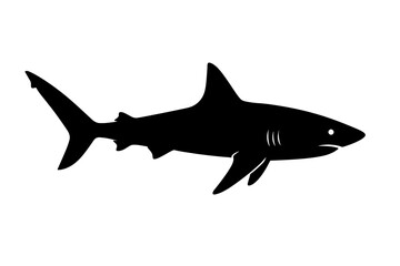 Fototapeta premium Design a black silhouette of a Caribbean Reef Shark white background clean vector shape
