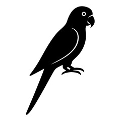 Fototapeta premium Design a black silhouette of a Carolina Parakeet white background clean vector shape