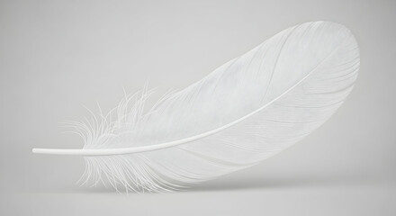 Obraz premium Single white feather image
