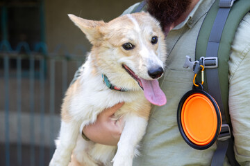 Close-up of a person holding a corgi dog while wearing a hiking backpack with a portable dog bowl attached, during an outdoor adventure