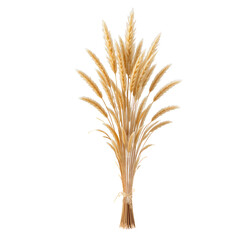 Fototapeta premium Elegant Dried Wheat Grass Arrangement for Home Decor and Interior Styling in Neutral Tones