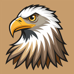 Hand drawn eagle flying drawing illustration