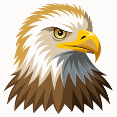 Hand drawn eagle flying drawing illustration