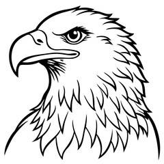 Hand drawn eagle flying drawing illustration