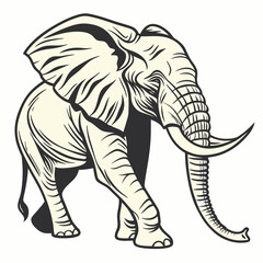 
Cute simple elephant cartoon isolated